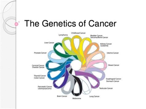 The Genetics of Cancer