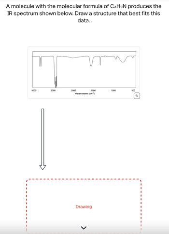 Answered: A molecule with the molecular formula… | bartleby