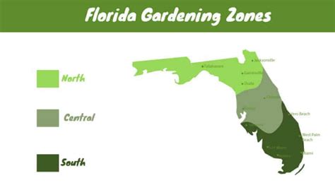 Florida Vegetable Planting Calendar | Planting Times For All Parts