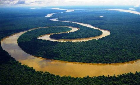 FLORESTA AMAZÔNICA n.° 1079 | Brazil facts, River, Amazon rainforest