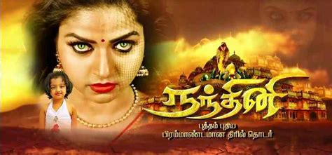 Nandini Tamil Serial On Sun TV - Story, Hero And Heroine Name, Cast List