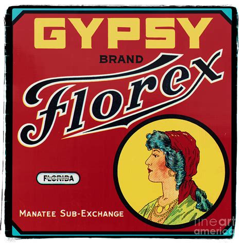 Vintage Florida Food Signs 2 - Gypsy Florex Brand - Square Photograph by Ian Monk