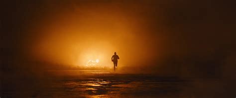 Skyfall - Roger Deakins | Movie shots, Movie history, Cinematography