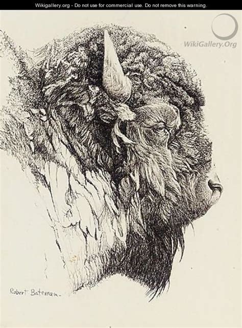 Bison Head Drawing at GetDrawings | Free download