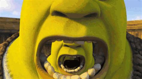 An Oral History of the Phrase “Get Shrek’d” – The Dot and Line