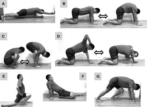 Semi-customized prevention exercise. (A) Trunk stabilization exercises ...