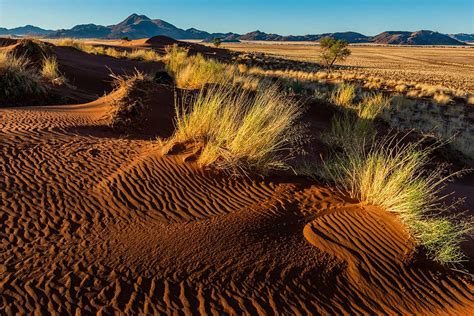 Landscape Photography - Namib Desert