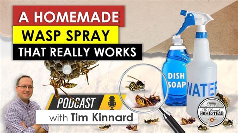 A Homemade Wasp Spray that Works