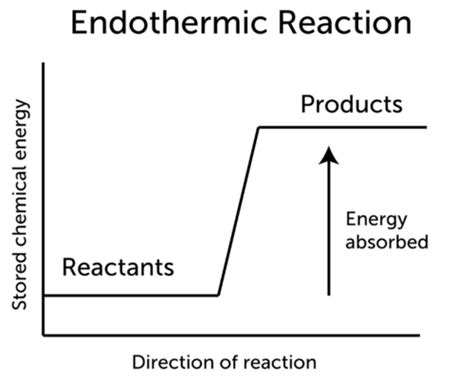 Endothermic Reactions ( Read ) | Physical Science | CK-12 Foundation