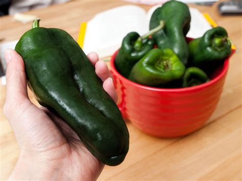 Poblano Peppers: Culinary Staple of Mexico and the Southwest