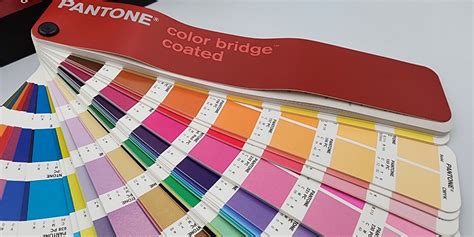 PANTONE Color Bridge Coasted Chart, Hobbies & Toys, Stationery & Craft, Craft Supplies & Tools ...