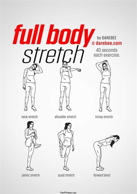 Full Body Workout | Posted By: CustomWeightLossP... | Stretches before ...