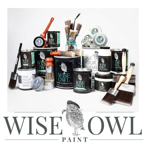 Our Color Palette - Wise Owl Chalk Synthesis Paint