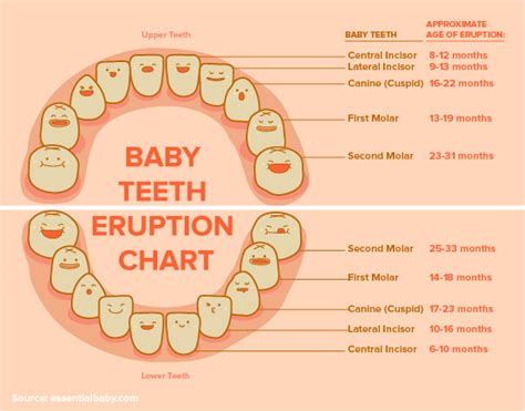 Baby Teeth - They Fall Out, So Why Are They So Important? - Heavenly Smiles