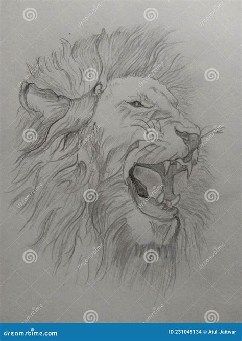 The Angry Lion stock photo. Image of wing, face, portrait - 231045134