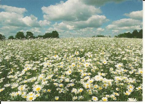 Valga County, Estonia | Estonia, Landscape, National parks