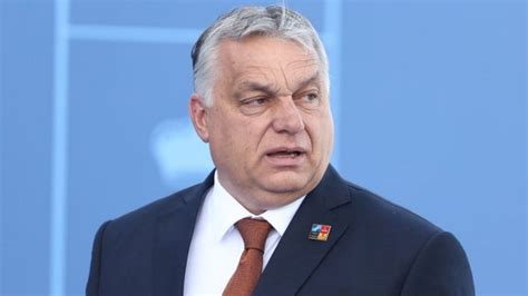 Viktor Orban: Hungary 'autocracy' verdict from EU correct, say ...