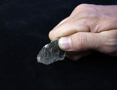 Stone flakes made by nut-cracking macaques resemble early human tools ...