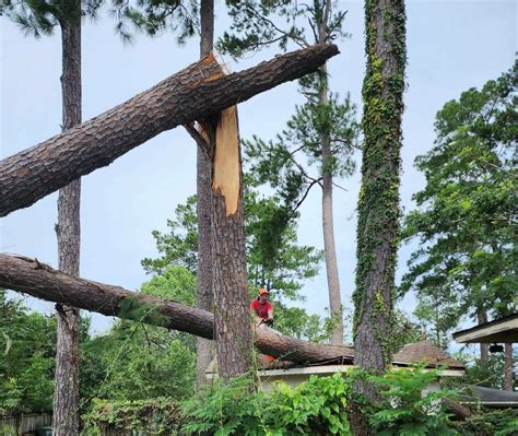 Georgia Baptist Disaster Relief volunteers finish hurricane cleanup after grueling 2 weeks - The ...