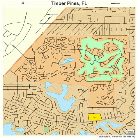 Timber Pines Florida Street Map 1271867