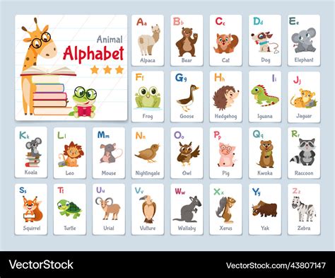 Alphabet flash cards with animals for learning Vector Image