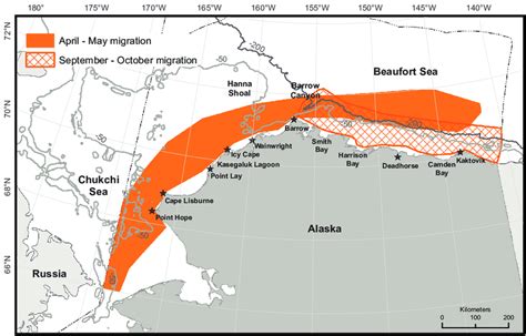 3. Bowhead whale migratory corridor BIAs for spring (April-May) and... | Download Scientific Diagram