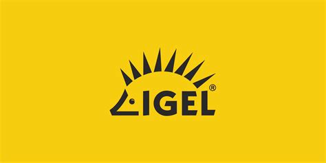 IGEL - Commaxx