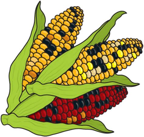 Download High Quality farm clipart corn Transparent PNG Images - Art Prim clip arts 2019