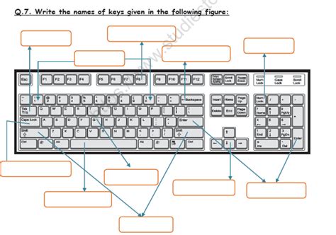 30 Computer Hardware & Software Worksheet Answers - support worksheet