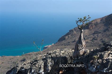 New trekking routes on Socotra