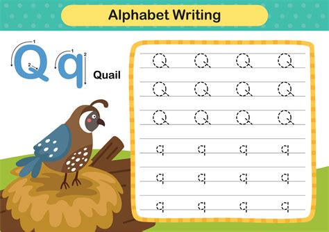 Alphabet Letter Q - Quail exercise with cartoon vocabulary illustration ...