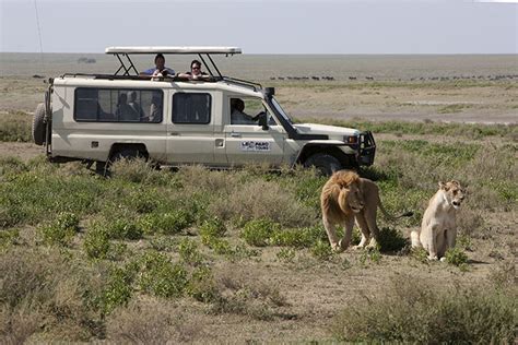 Types of Safari Vehicles You’ll Be Riding In