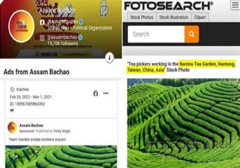 Congress' Assam campaign blunder: Party using tea garden pic from Taiwan, claims BJP ...