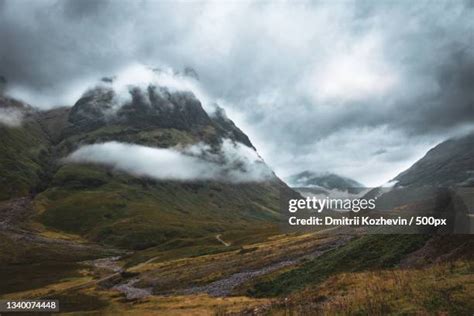 The Forest And The Highlands Photos and Premium High Res Pictures - Getty Images