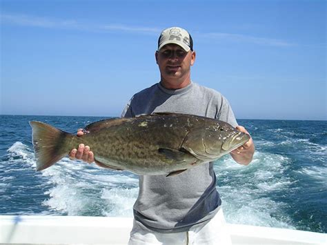 Topsail Island Fishing NC Gallery | Whipsaw