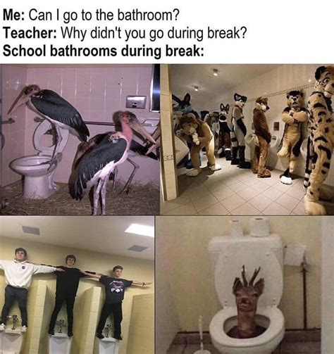 School bathrooms during the break : r/memes