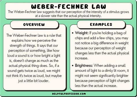 Weber’s Law in Psychology (Weber-Fechner Law) & Examples (2024)