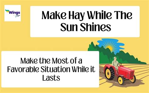 Make Hay While the Sun Shines Meaning, Examples, Synonyms | Leverage Edu