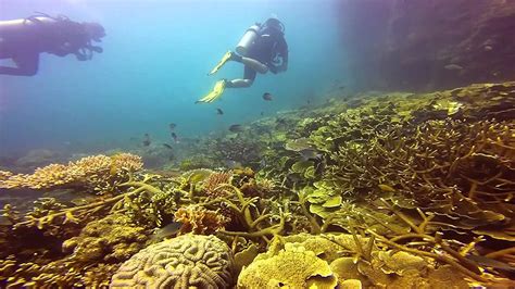 Scuba Diving at Tioman Island Malaysia - YouTube