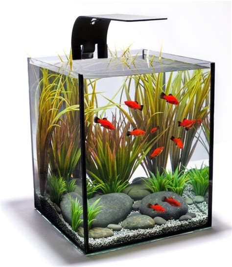 17 Pleasing Contemporary Fish Tank Ideas