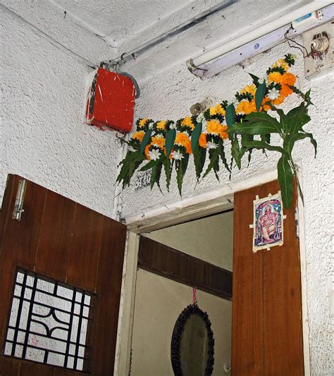 Stock Pictures: Dassera or Dasara flowers