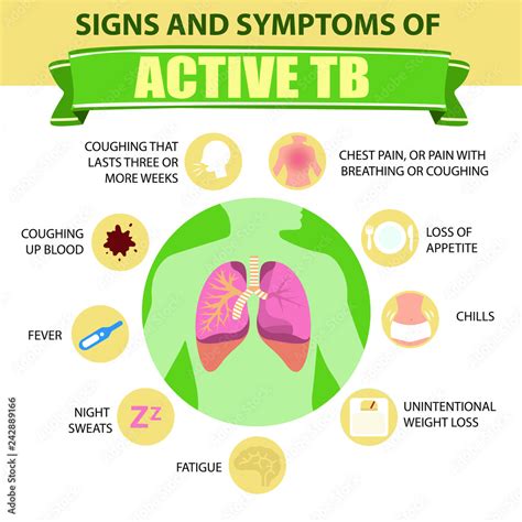 Signs and symptoms of pulmonary tuberculosis. Active TB. Detailed vector Infographic. Human ...