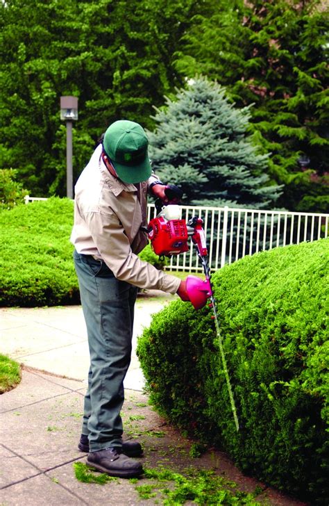 Hedge Trimmers Safety Tips | Green Industry Pros