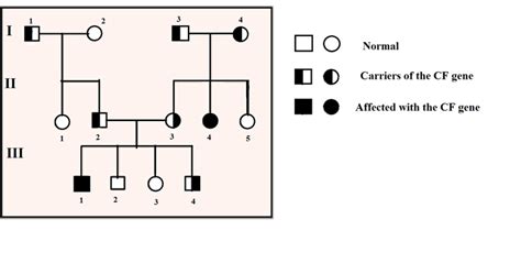 Pedigree Chart - Genetic Mutation: Cystic Fibrosis