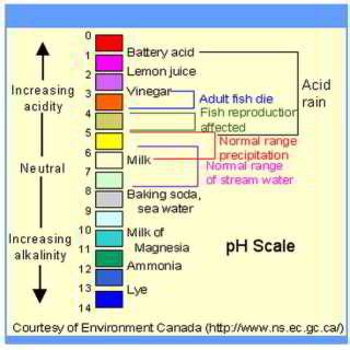 How To Raise Ph In Drinking Water - 3 Simple Ways To Raise The Ph Of Water Wikihow - That was ...