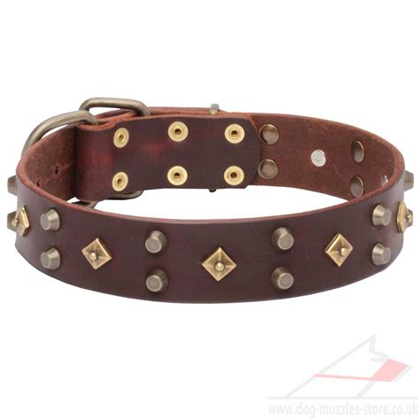 Luxury Dog Collars with Bronze Studs | Fancy Dog Collars - £45.90