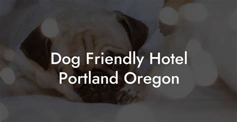 Dog Friendly Hotel Portland ORegon - Dog Hotels