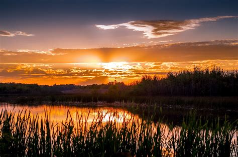 Still marshland | Sunrise sunset, Marshland, Sunrise