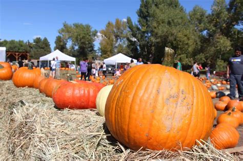 Four Mile Historic Park's Pumpkin Harvest Festival - Mile High on the Cheap