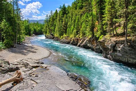 10 Top Things to Do in Flathead National Forest, MT | PlanetWare